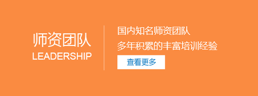 国内知名师资团队